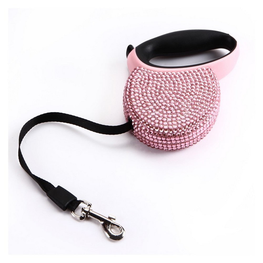 Retractable Leash