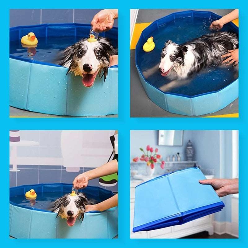 Pet Bathing Pool