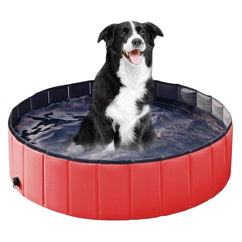 Pet Bathing Pool