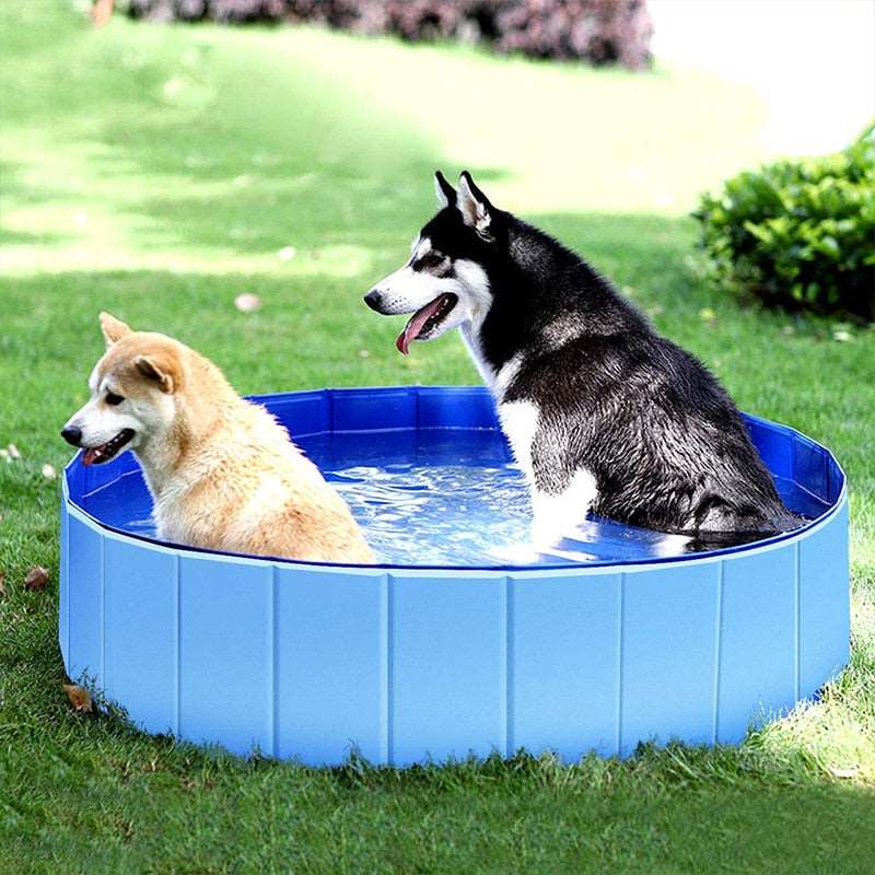 Pet Bathing Pool