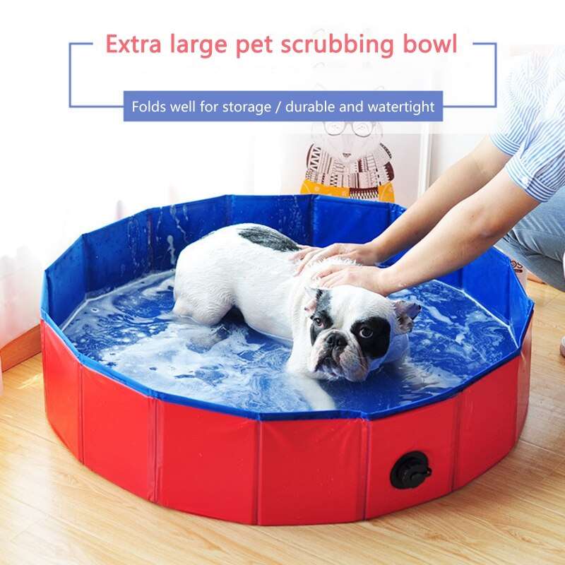 Pet Bathing Pool