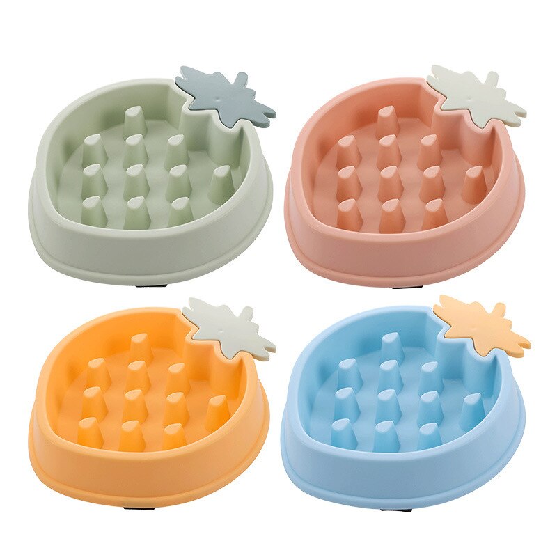 Slow Feeding Bowl