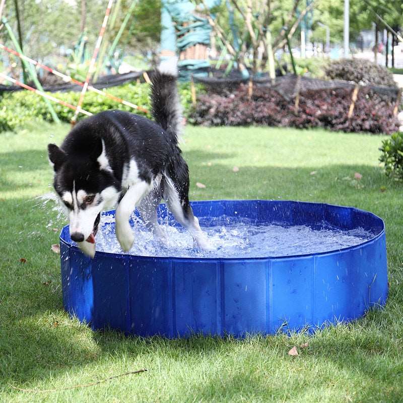 Pet Bathing Pool