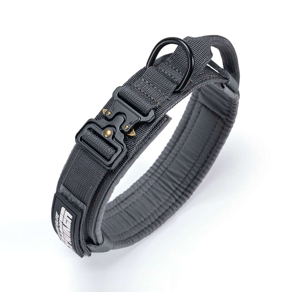 42357513224372|42357513257140|42357513289908