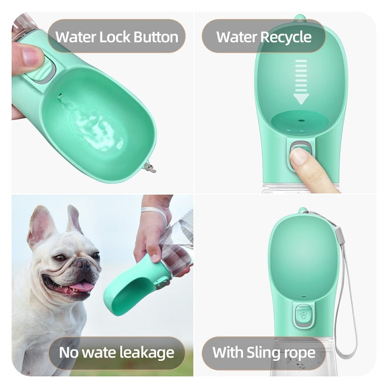 Travel Water Bottle