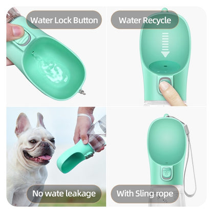 Travel Water Bottle