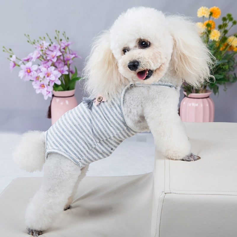 Dog Cotton Sanitary Pantie