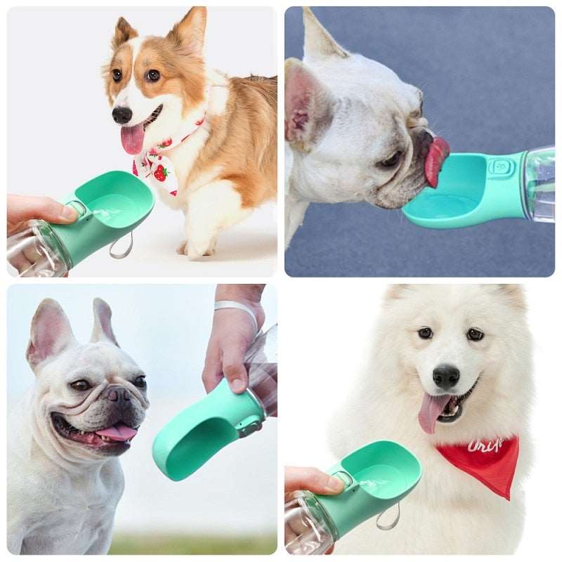 Travel Water Bottle