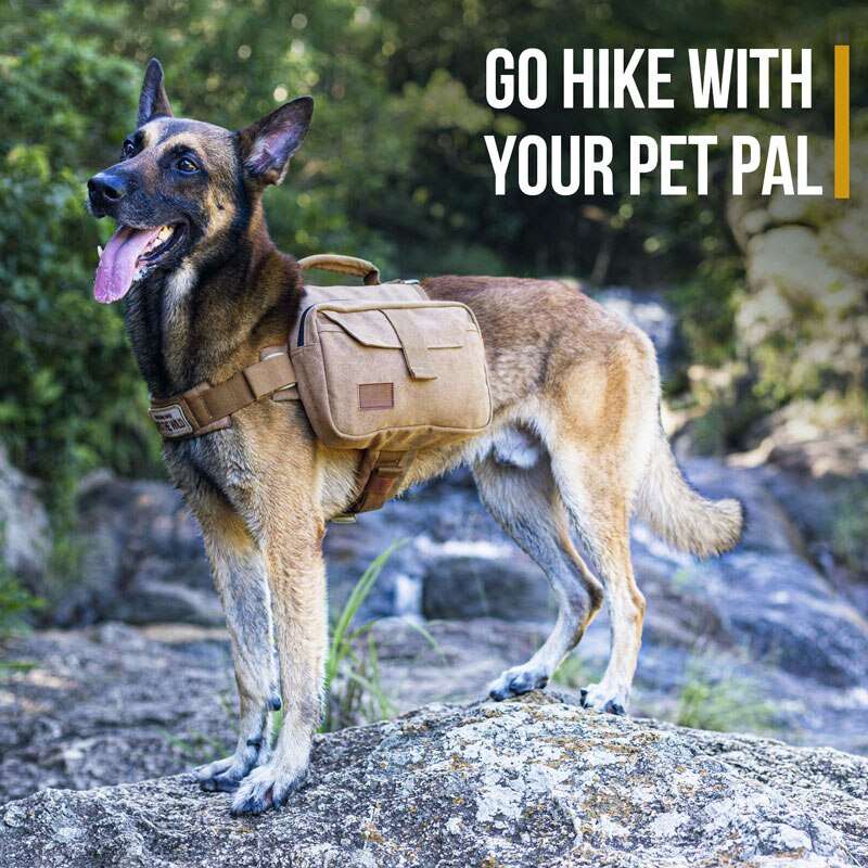 Dog Backpack