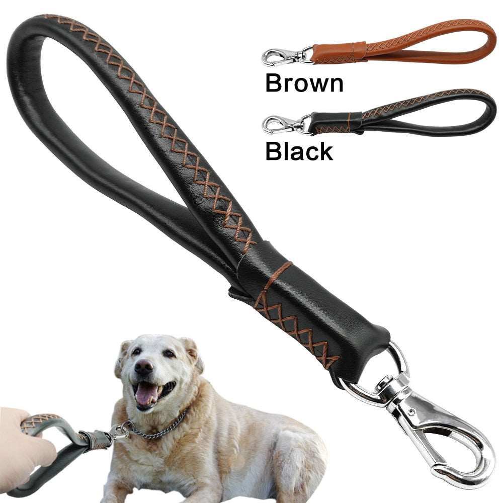 Training Leash