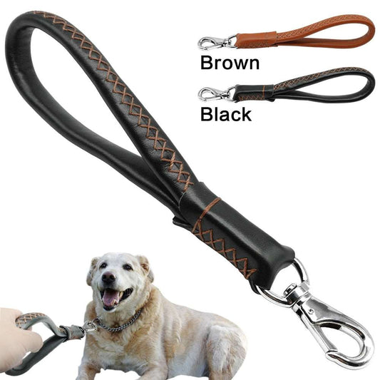 Training Leash