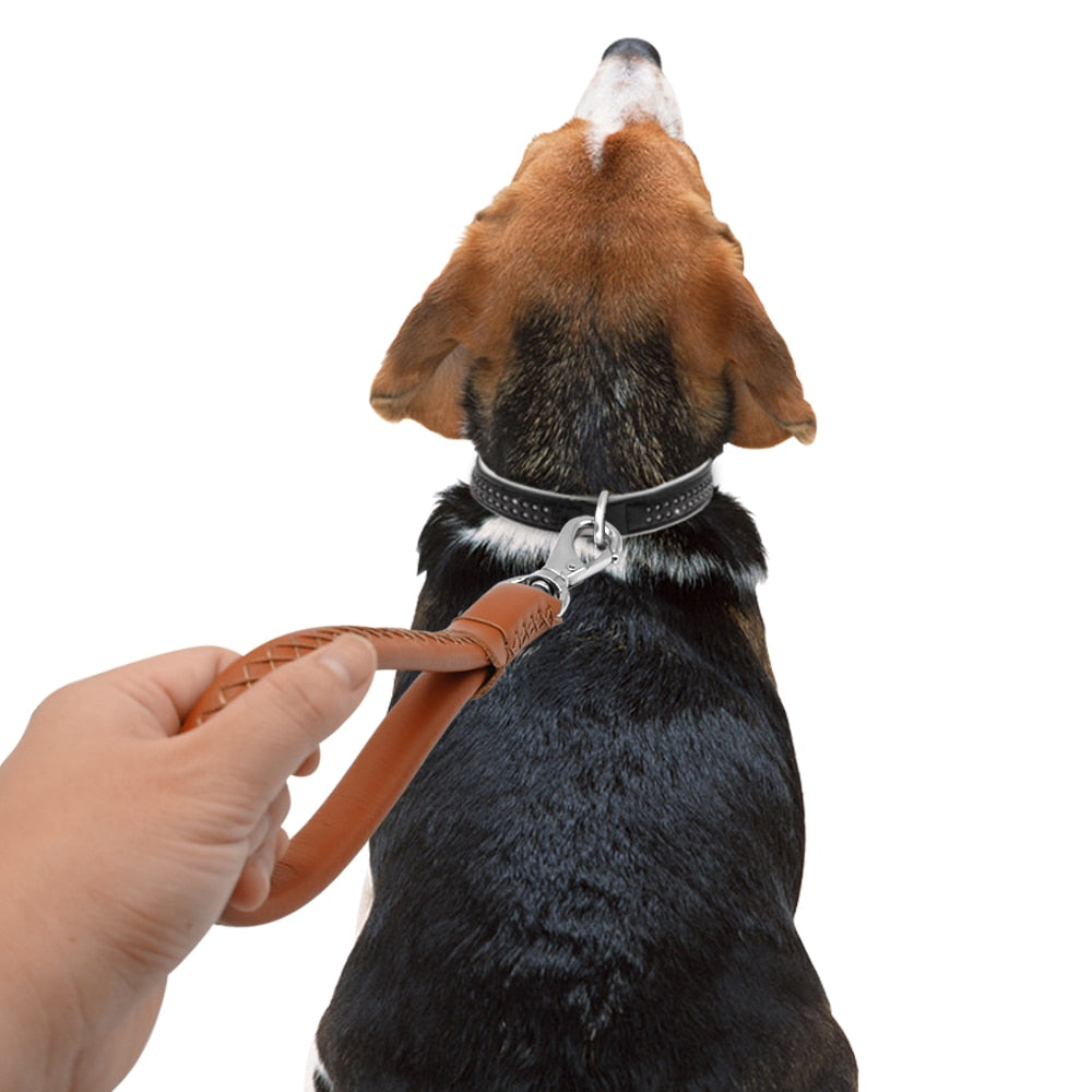 Training Leash