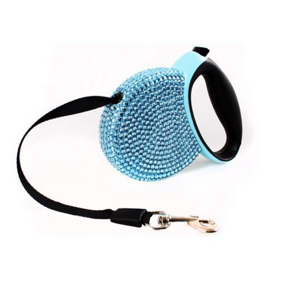 Retractable Leash