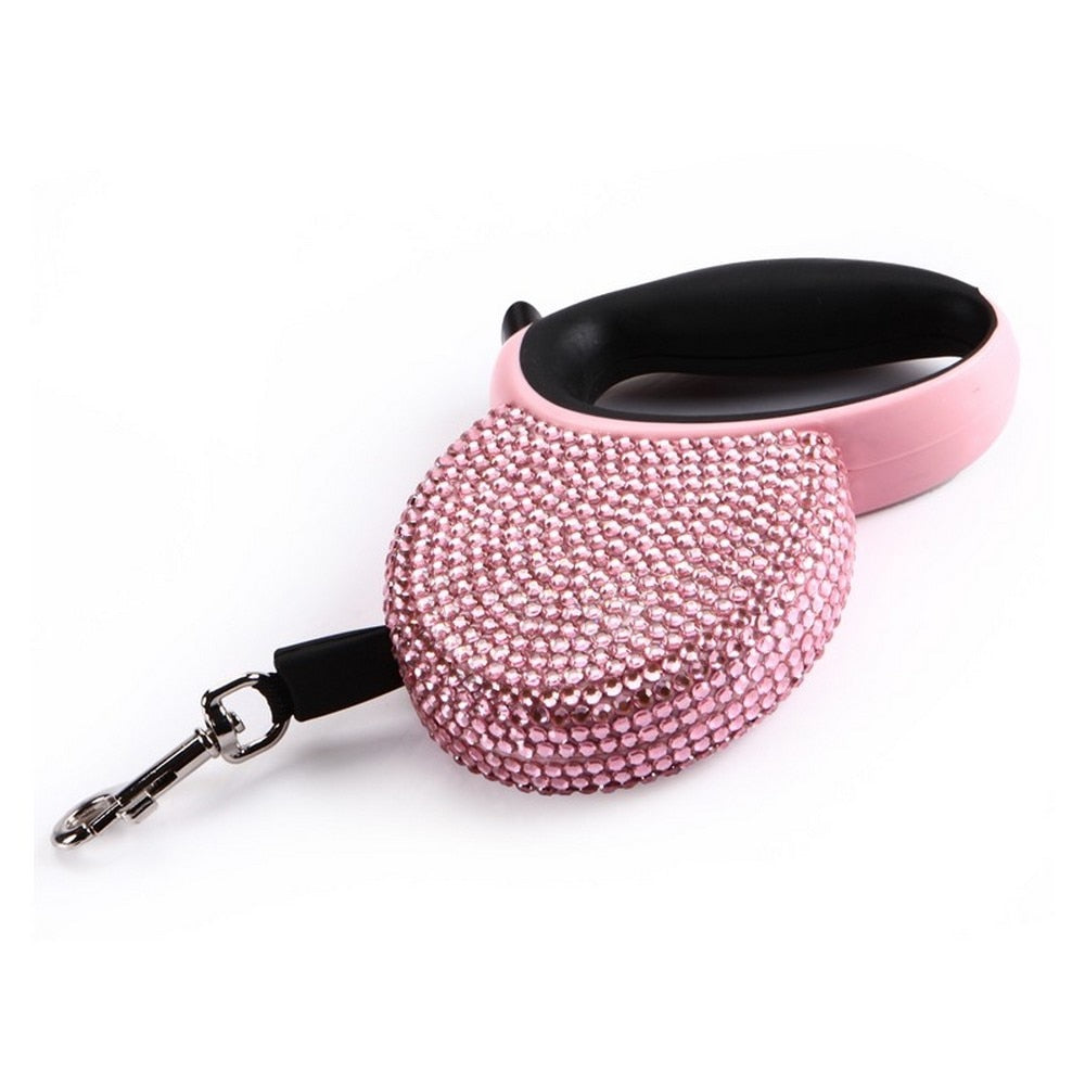 Retractable Leash