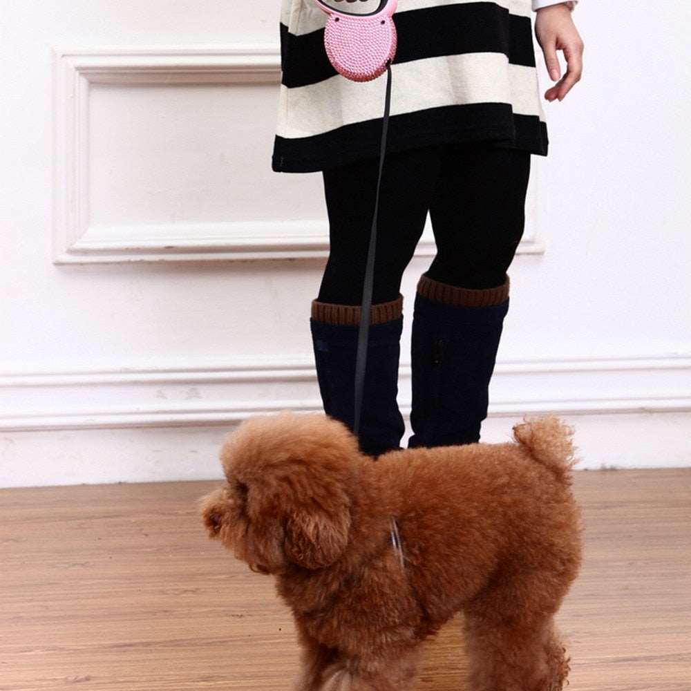 Retractable Leash