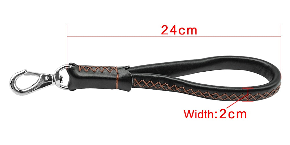 Training Leash