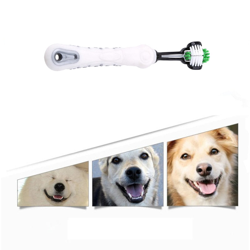 Three Sided Pet Toothbrush
