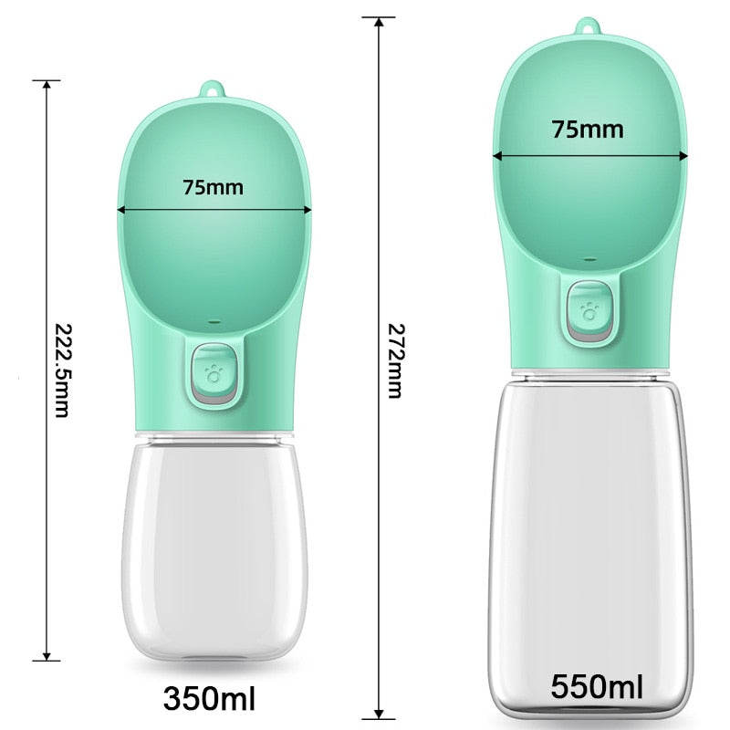 Travel Water Bottle
