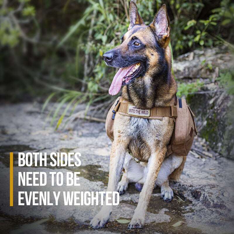 Dog Backpack