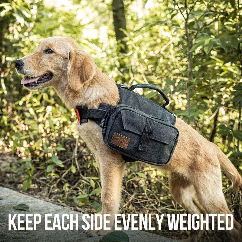 Dog Backpack