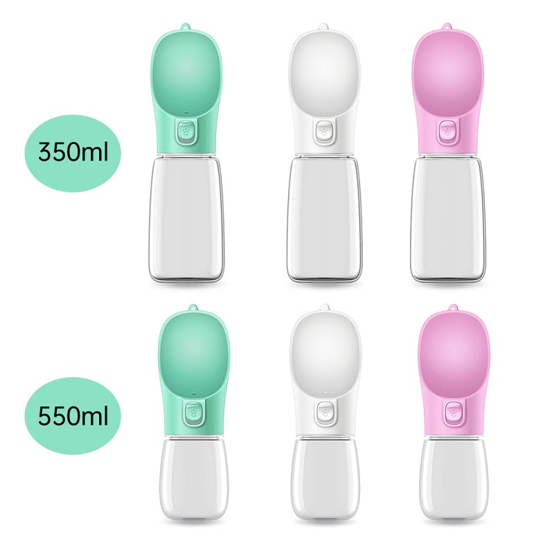Travel Water Bottle