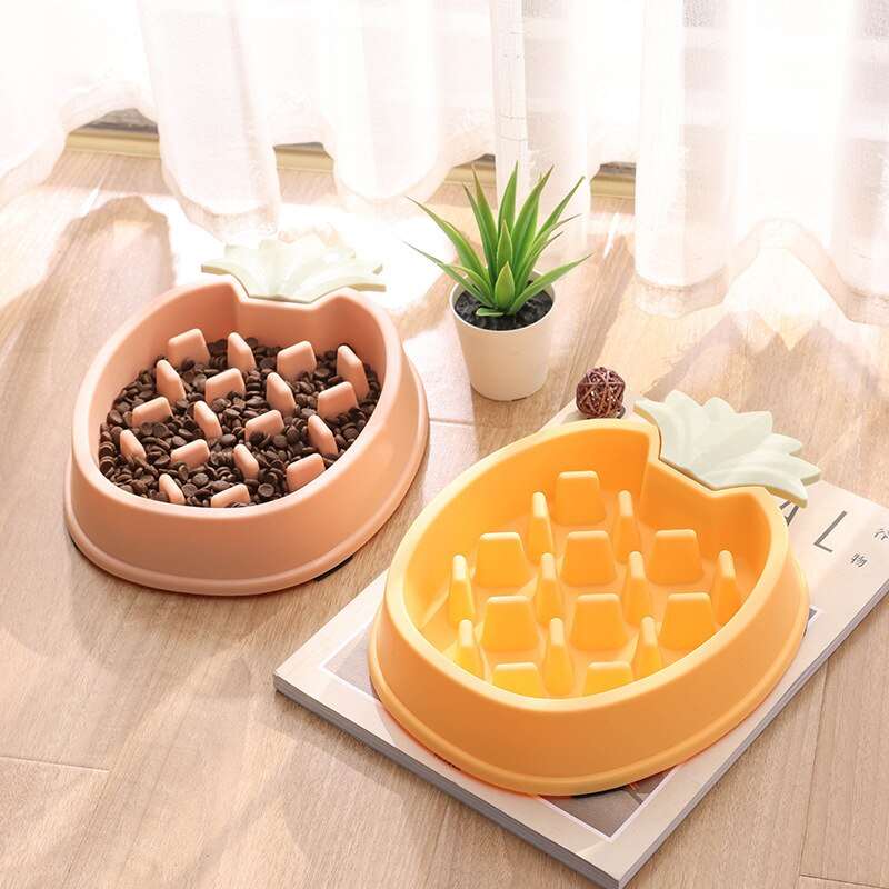 Slow Feeding Bowl