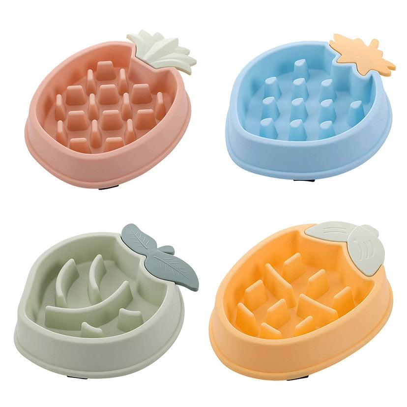 Slow Feeding Bowl