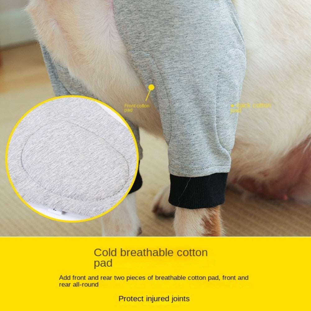 Elbow Brace Protector for Dogs