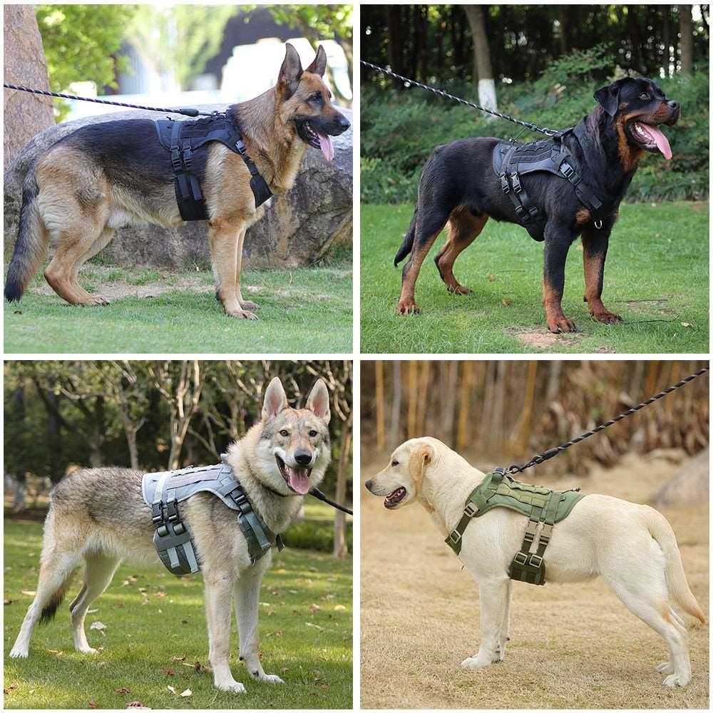 Tactical Dog Harness Bundle