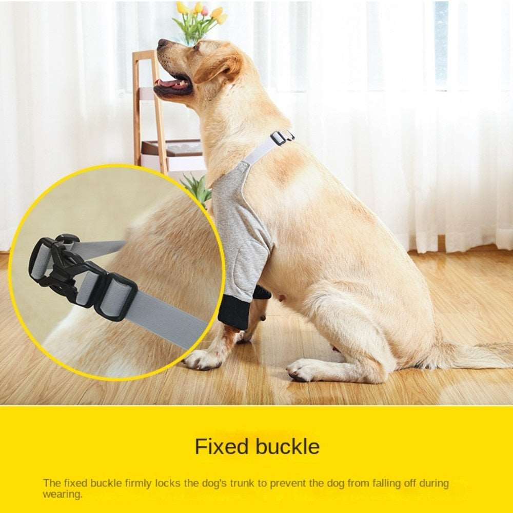 Elbow Brace Protector for Dogs