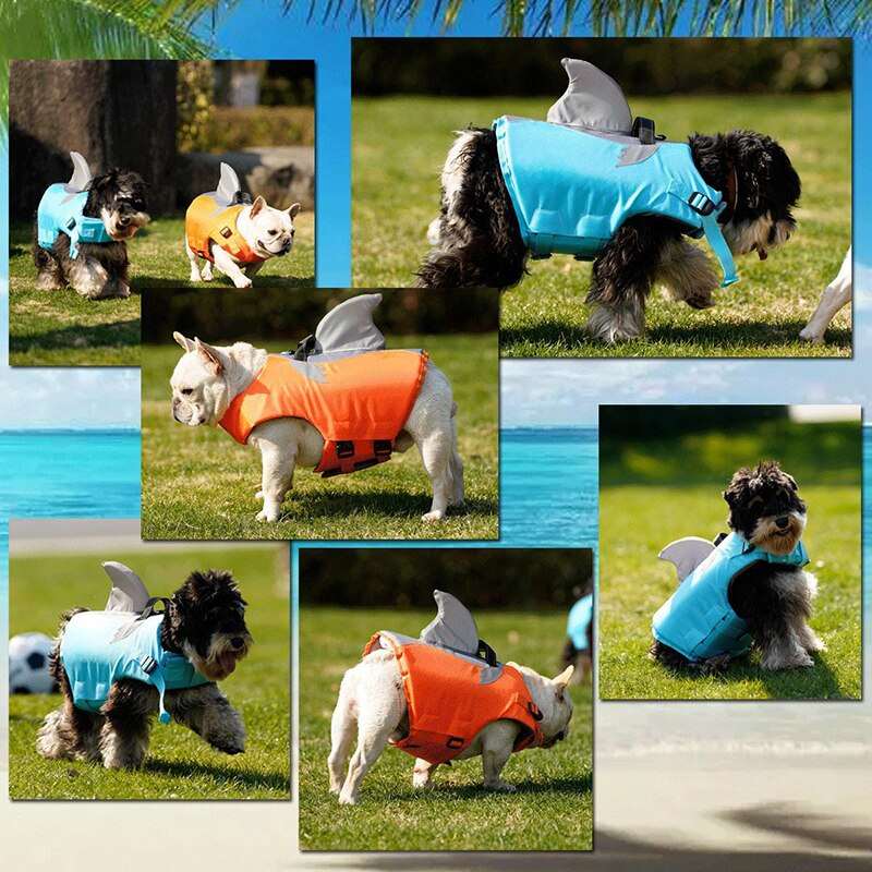 Shark Life Jacket
