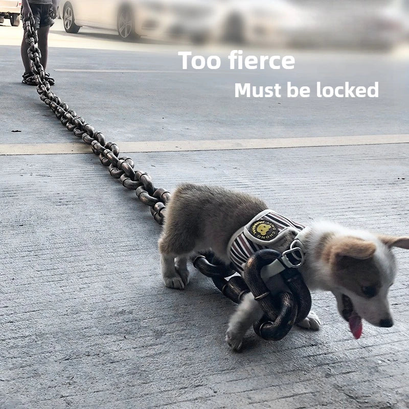 HUGE Dog Chain Link Leash