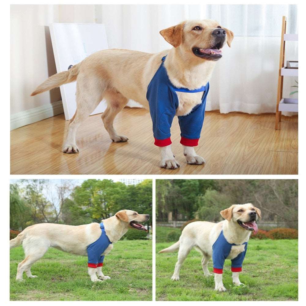 Elbow Brace Protector for Dogs