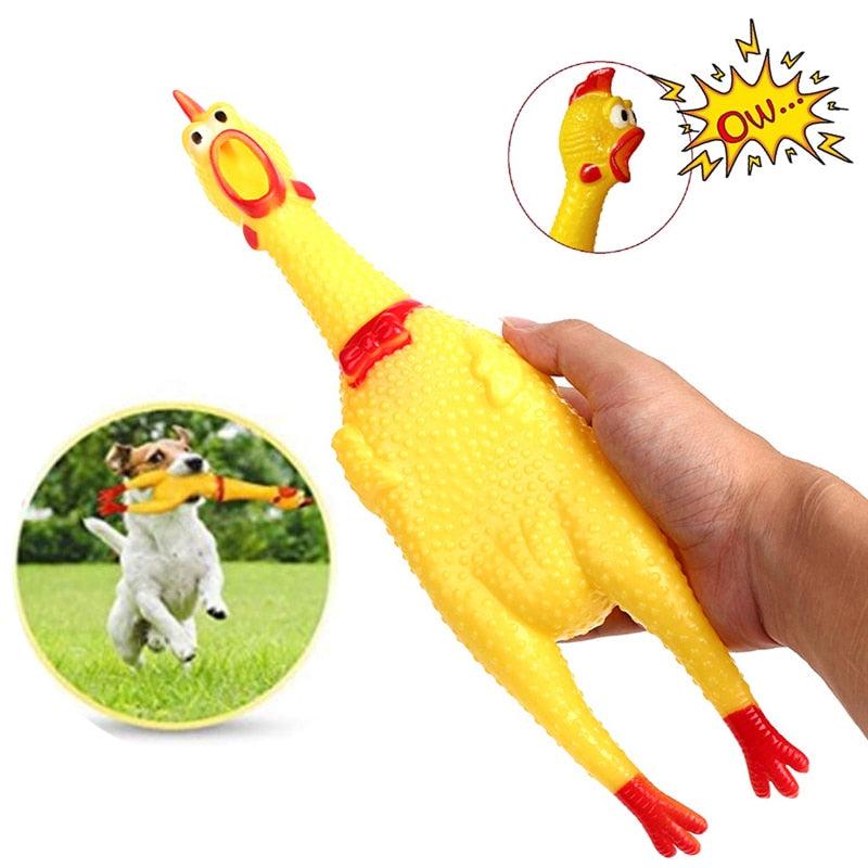 Screaming Chicken Toy